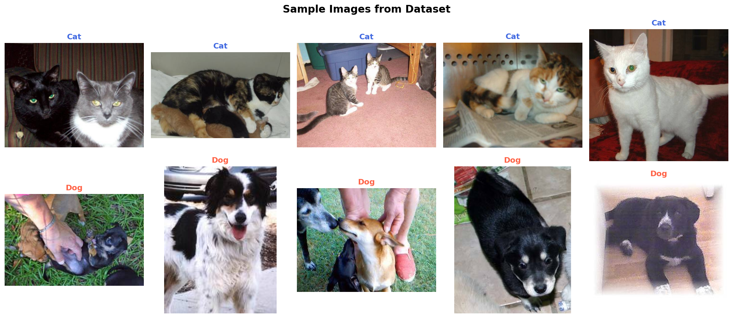 Cat vs Dog Image Classifier
